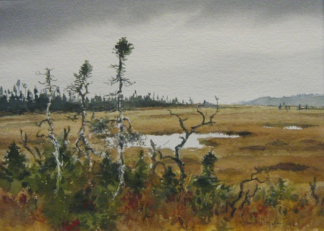 Landscape, Hawke's Bay - 1992 